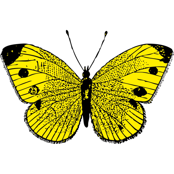 Yellow Butterfly PNG Clip art