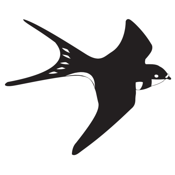 Black And White Bird PNG Clip art