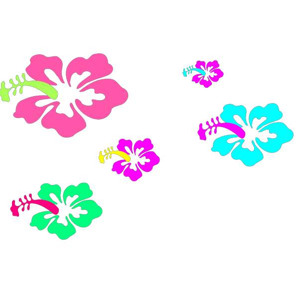 Hibiscus Ray Of Color PNG Clip art