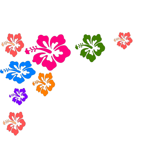 Hibiscus Flower Color PNG Clip art