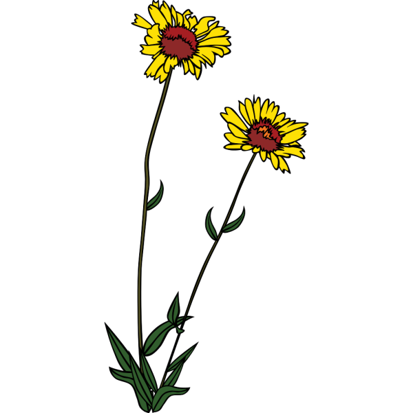 Yellow Wild Flower PNG Clip art