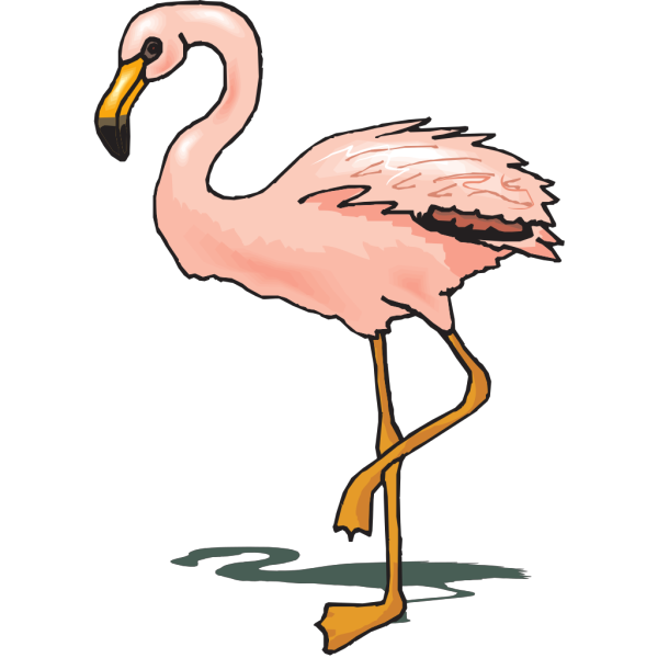 Standing Flamingo PNG Clip art
