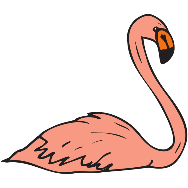 Swimming Flamingo PNG Clip art