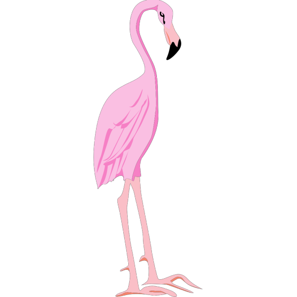 Titlted Standing Flamingo PNG Clip art