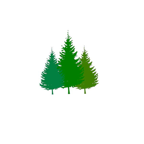 Forest Logo PNG Clip art