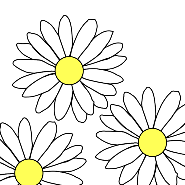 3 Daisies PNG images