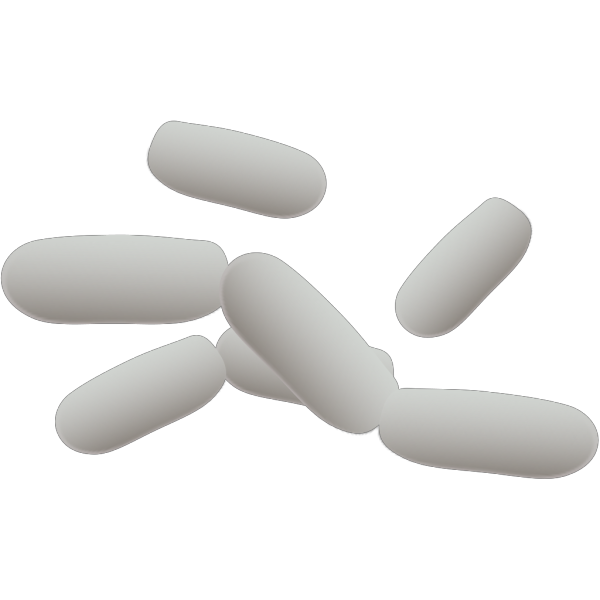 Gray Bacteria PNG Clip art