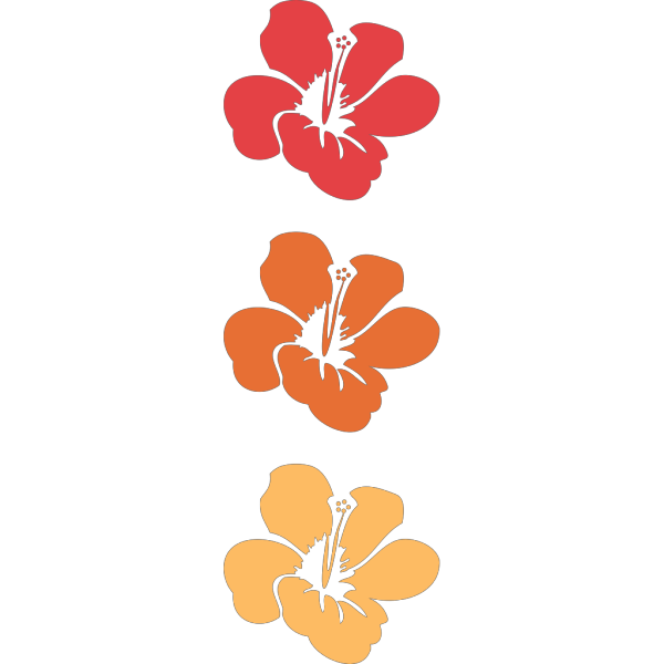 Hibiscus Flowers PNG Clip art