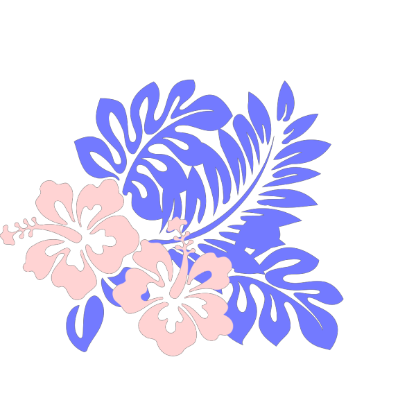 Hibiscus 3-color PNG Clip art