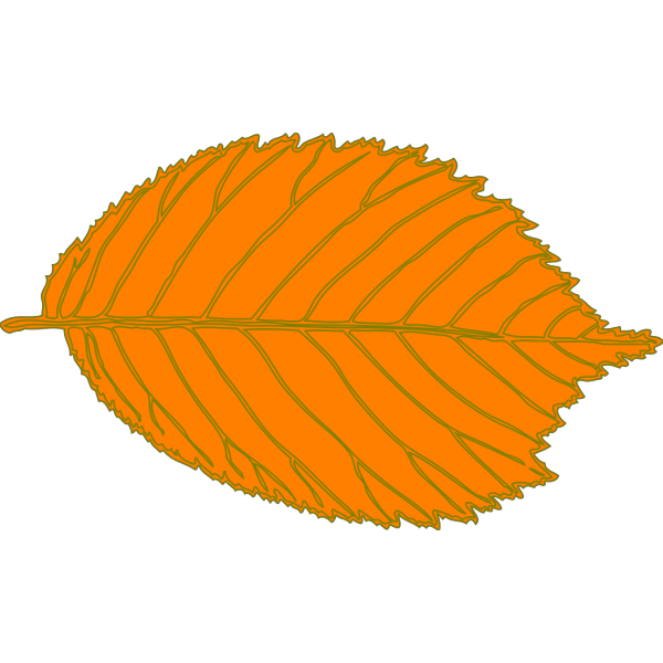 Orange Leaf, Brown Border PNG Clip art