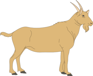 Brown Goat PNG Clip art