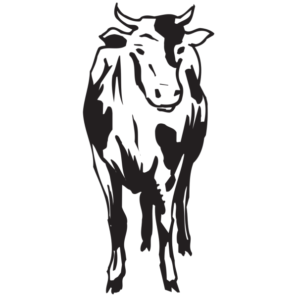 Cow Front View PNG images