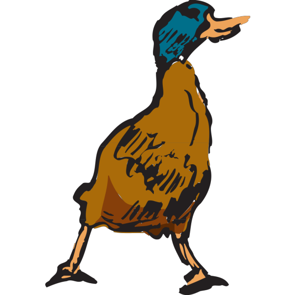 Mallard Duck PNG Clip art