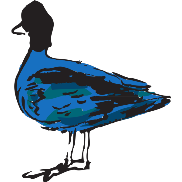 Blue Duck PNG Clip art