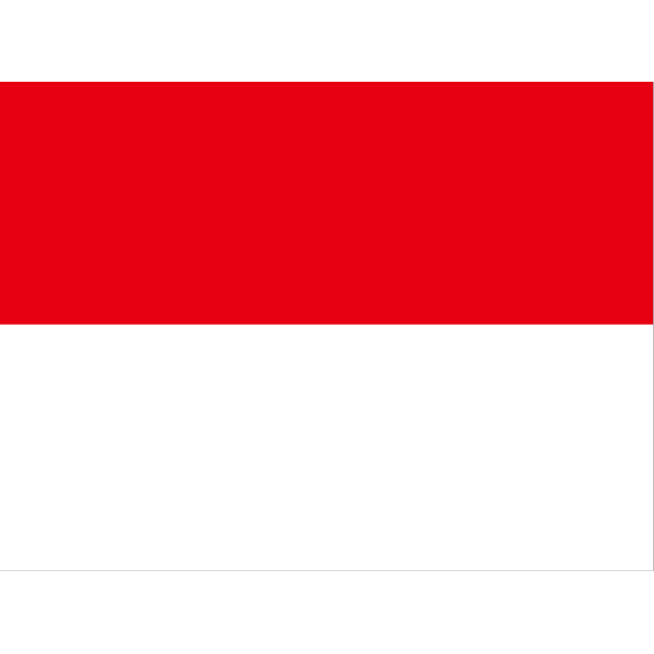 Flag Of Indonesia PNG Clip art