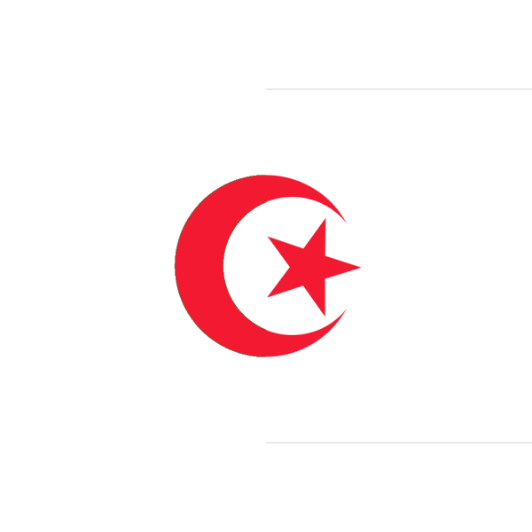 Flag Of Algeria PNG Clip art
