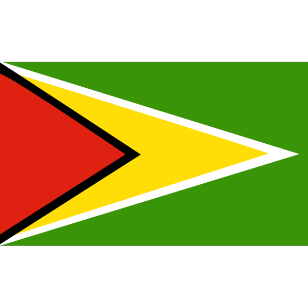 Flag Of Guyana PNG Clip art