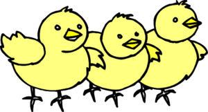 Chicks In A Line PNG Clip art
