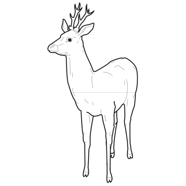 Deer Outline PNG Clip art