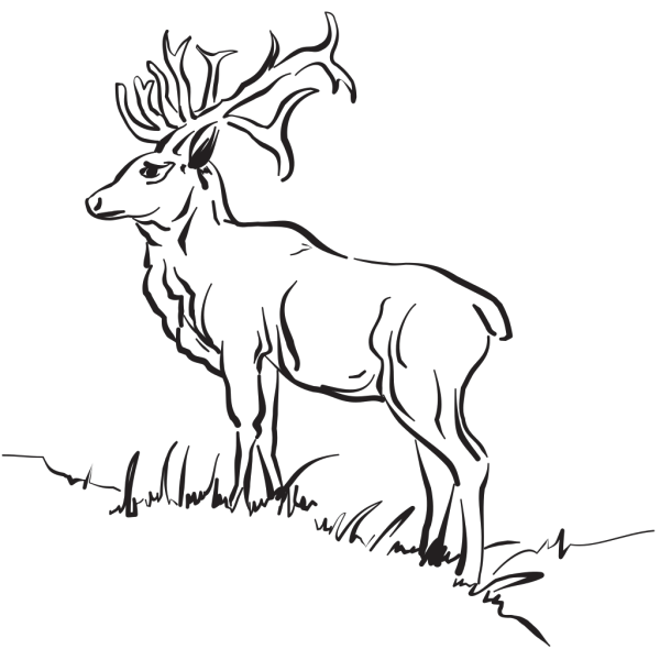 Deer Standing On A Slope PNG Clip art