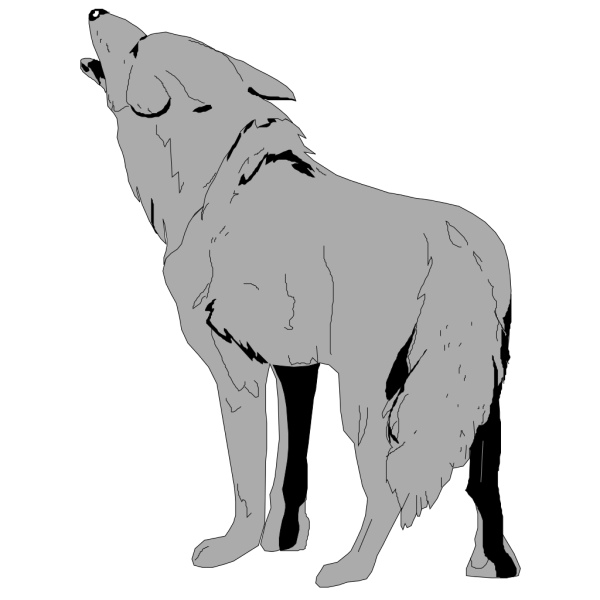 Gray Coyote With Fur PNG Clip art