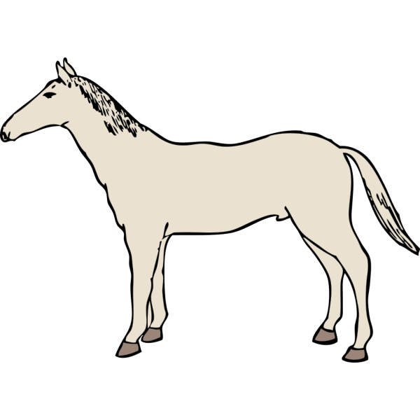 Horse 9 PNG Clip art