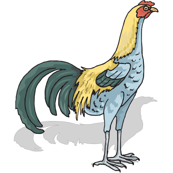 Tall Rooster PNG Clip art
