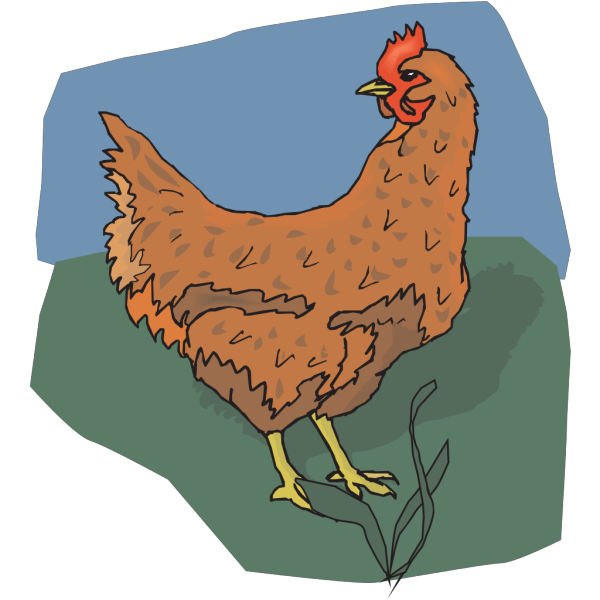 Brown Chicken Looking Back PNG Clip art