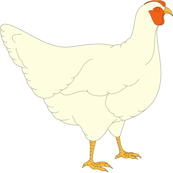 Simple White Chicken PNG Clip art