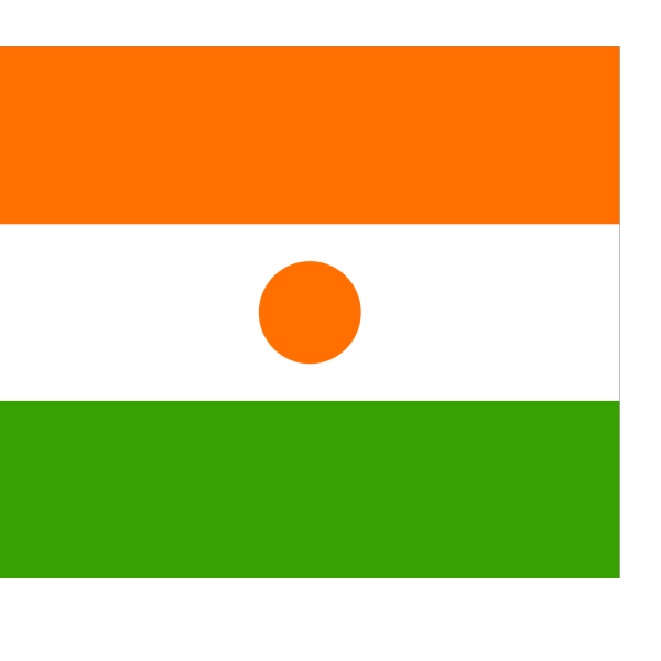 Flag Of Niger PNG Clip art