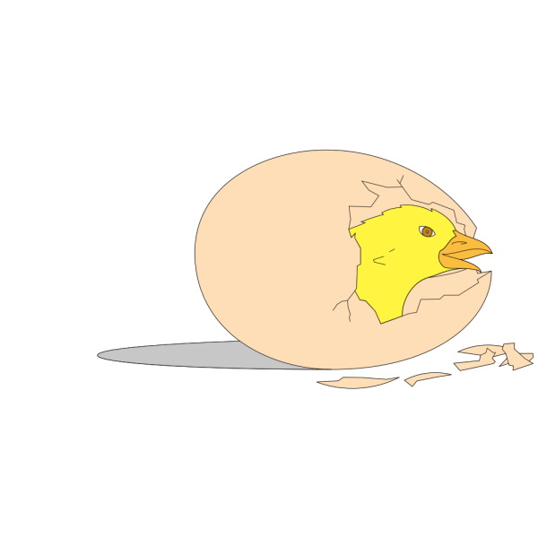 Chick Hatching PNG Clip art