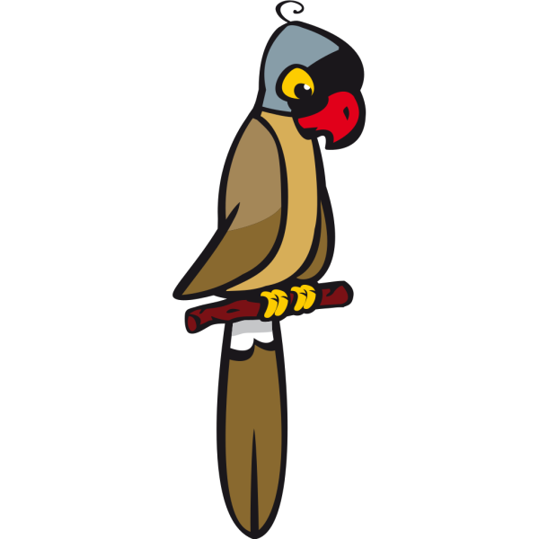 Parrot PNG Clip art