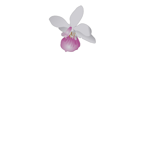 Orchidea PNG Clip art