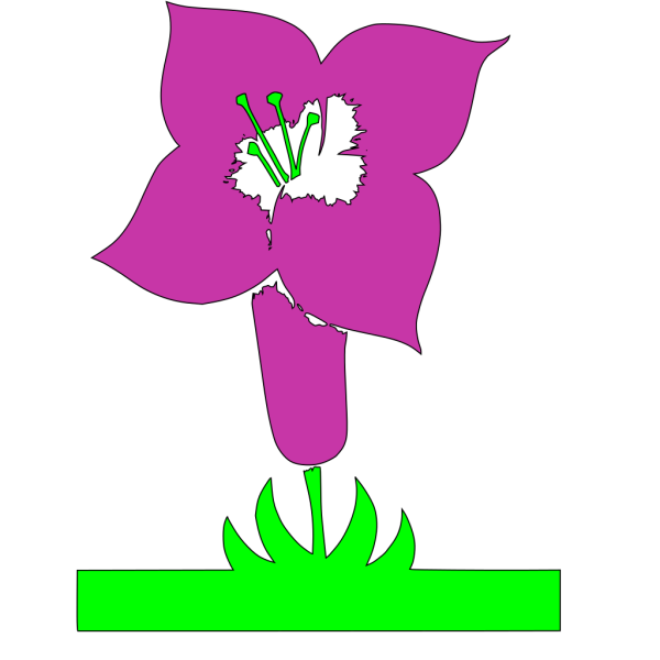 Flower Plant Stem Bush PNG Clip art