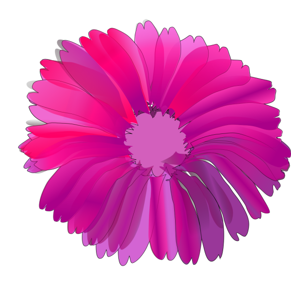 Pink Flower 14 PNG Clip art
