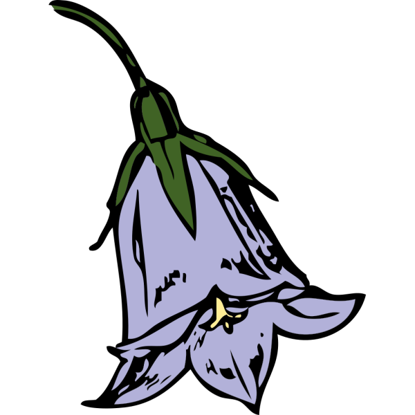 Harebell PNG images