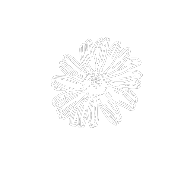 White Daisy PNG Clip art
