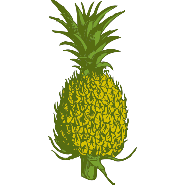 Pineapple With Flowers PNG Clip art