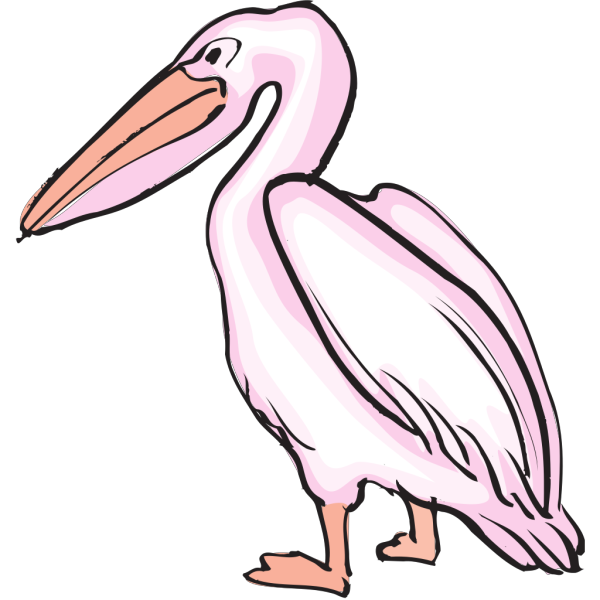 Pink Pelican PNG Clip art