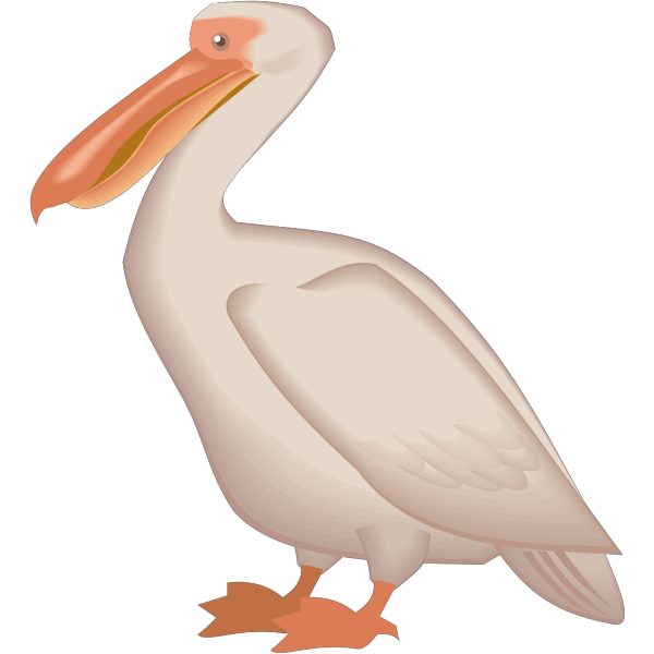Digital Pelican Art PNG images