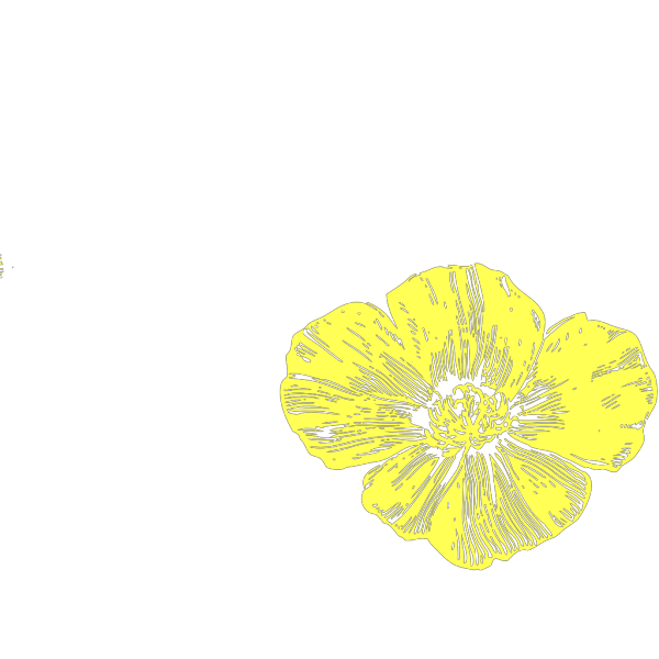Yellow Poppy PNG Clip art