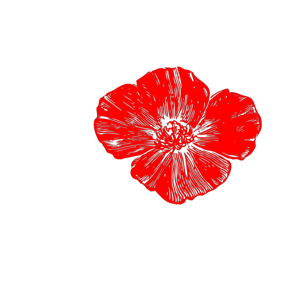 Red Poppy PNG Clip art