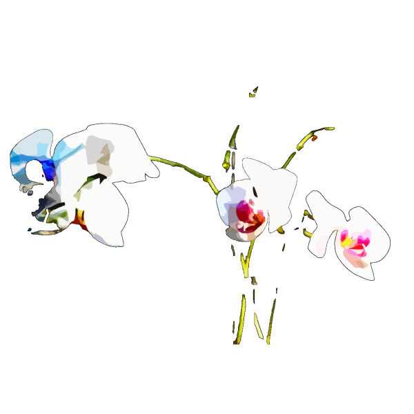 Flower 41 PNG Clip art
