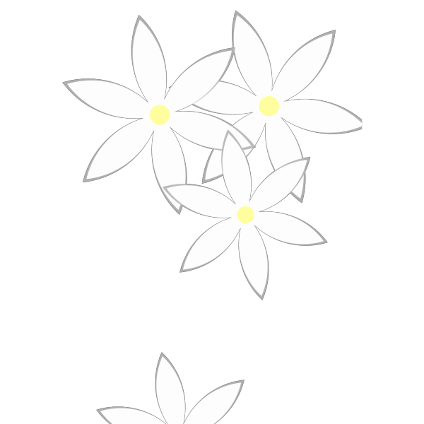 Daisies PNG images