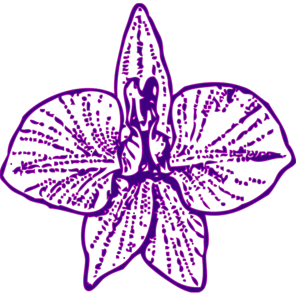 Purple Orchid PNG Clip art