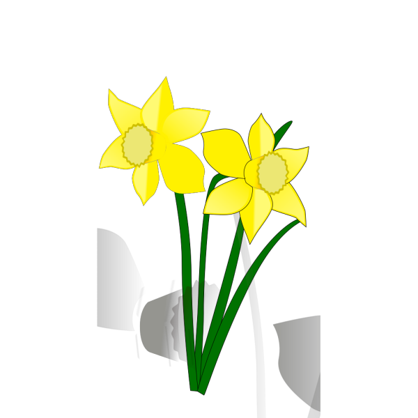 Lilys PNG images