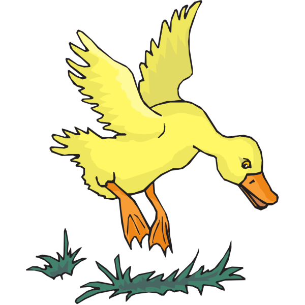Duck Landing PNG Clip art