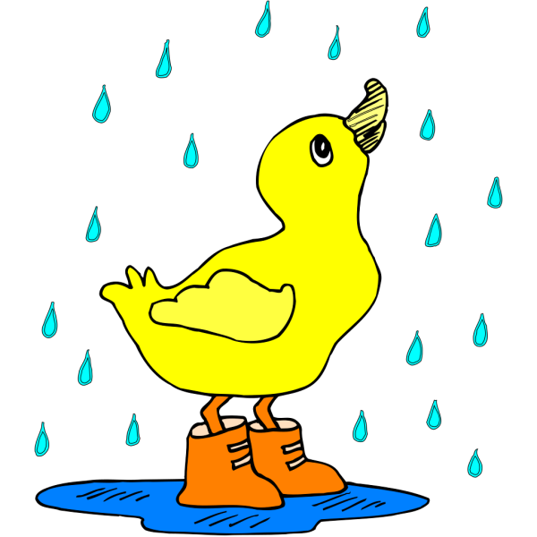 Duck In The Rain PNG images