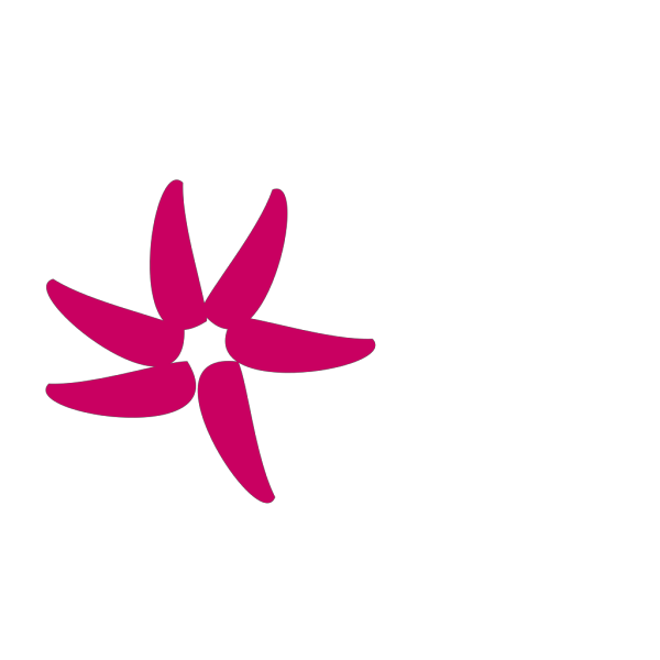 Flower - Pink PNG Clip art