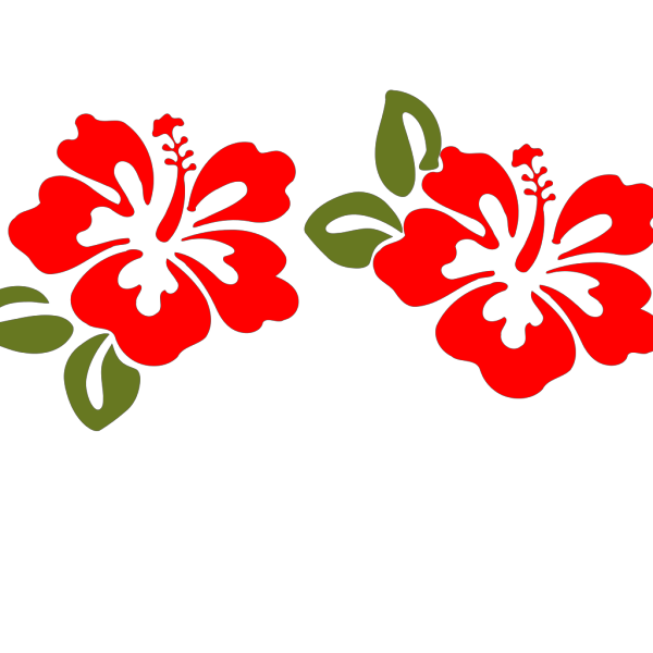Hibiscus 20 PNG Clip art